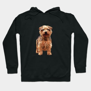 Norfolk Terrier Hoodie